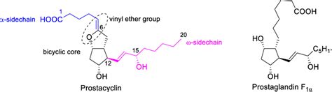 Structure of prostacyclin and prostaglandin F1α | Download Scientific ...