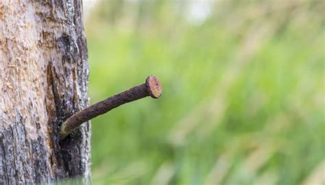 Experiments on the Rusting of Iron Nails | Sciencing