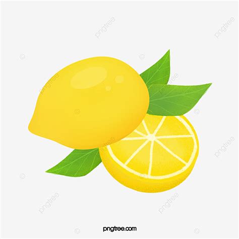 Fruit Watercolor Lemon, Fruit, Watercolor, Lemon PNG and Vector with Transparent Background for ...