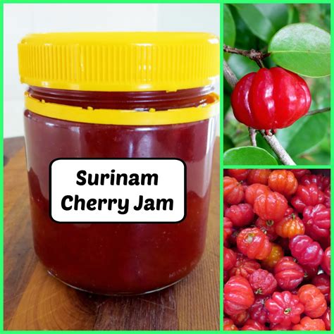 Creating my way to Success: Surinam Cherry Jam