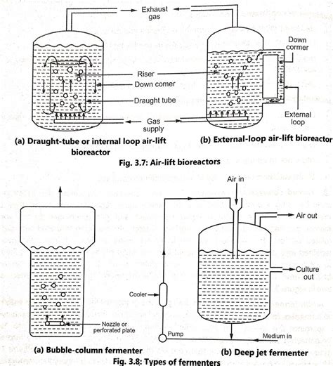 Types of fermenter - BIOLOGY EASE