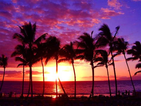 Hawaii beach sunset wallpapers: November 2011