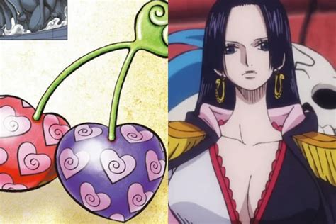 All 39 Devil Fruit Designs in One Piece (Officially With Pictures) 2023 - OtakusNotes