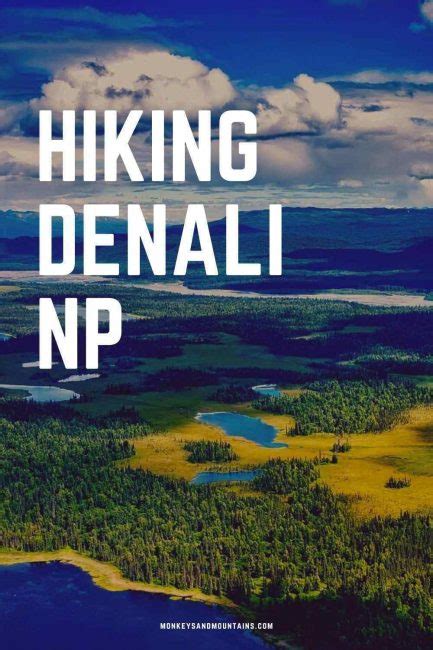 Denali National Park Hiking Spots