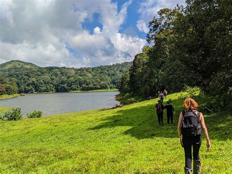 Western Ghats Trekking Tour (Kerala, India)