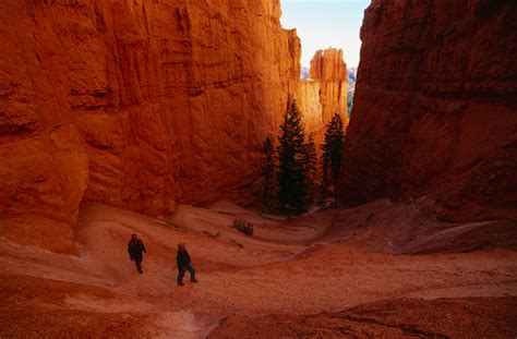 Bryce Canyon National Park travel | The Southwest, USA - Lonely Planet