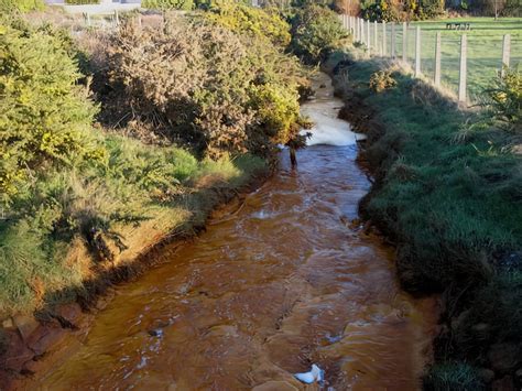 Government’s new Environment Act targets defy public opinion on polluted rivers and wildlife ...