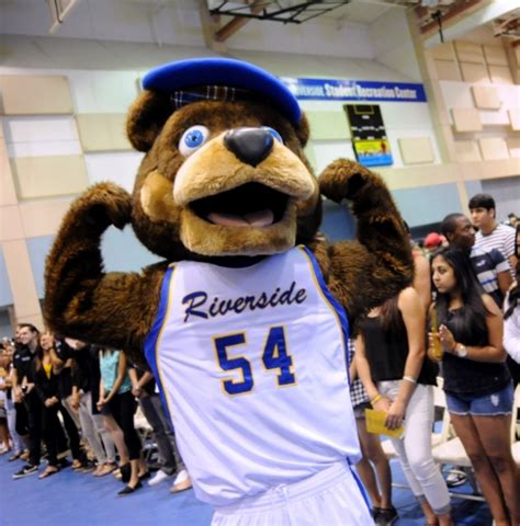 University of California Mascots, Ranked by Dan — Is This a Thing?