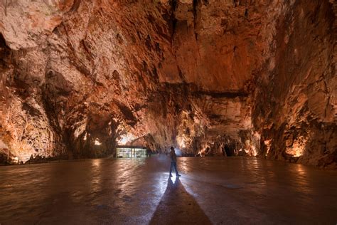 50 Breathtaking Postojna Cave Photos To Inspire You To Visit Slovenia