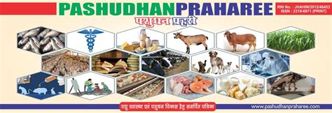 ORGANIC TREATMENT OF INFECTIOUS CORYZA DISEASE IN POULTRY | Pashudhan ...