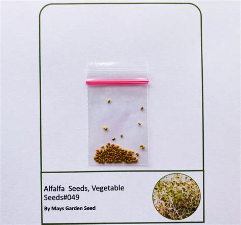 Alfalfa Seeds, Vegetable Seeds#049 – Mays Garden Seed