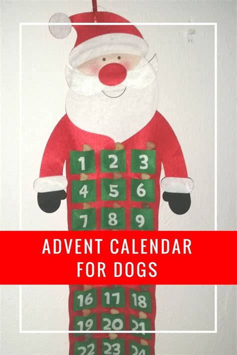 How To Make An Advent Calendar For Dogs (The Quick Guide!)