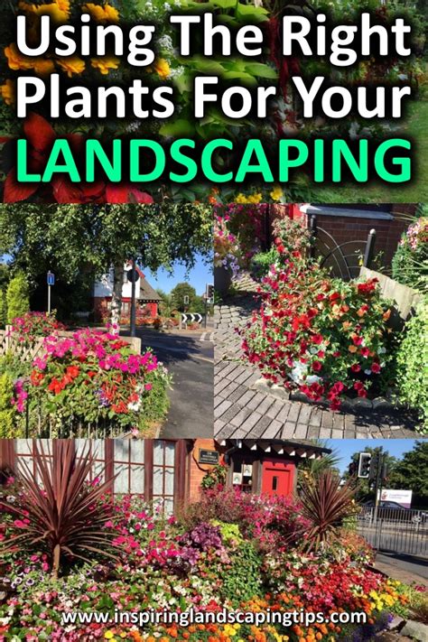 Using The Right Plants In Your Landscaping