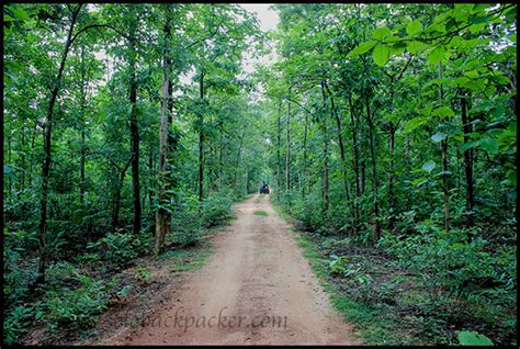 Chhattisgarh: The Tribal Planet of India | Solo Backpacker