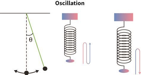 Examples Of Oscillatory Motion