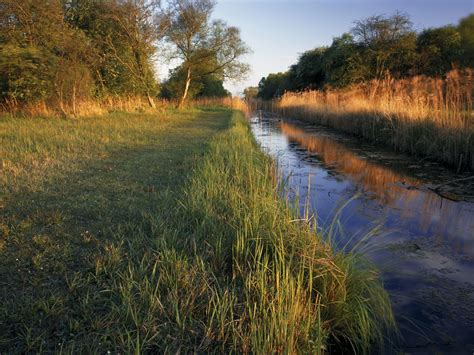 How our fens were sacrificed for more farms | The Independent