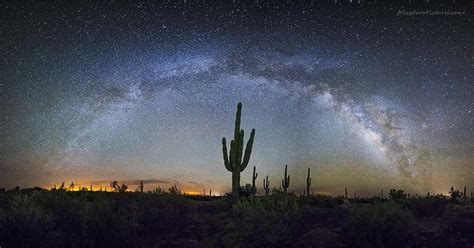 Starlight and Saguaros – Stunning Desert Night Sky Photography by Greg McCown | Night sky ...