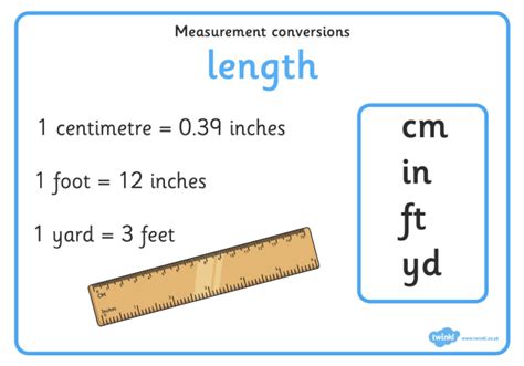 What are Foot and Feet? - Answered - Twinkl Teaching Wiki