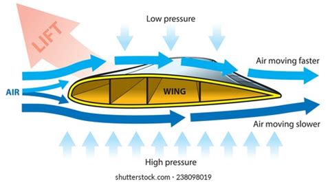 How Airplane Lifting Wing Crosssection Stock Vector (Royalty Free) 238098019 | Shutterstock