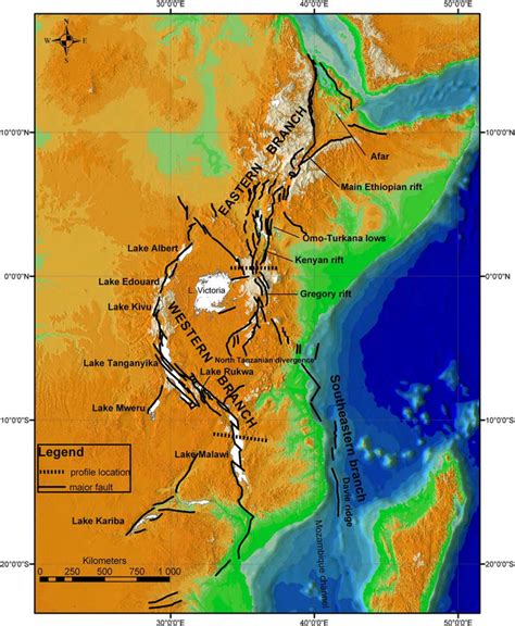 The East African rift system (2023)