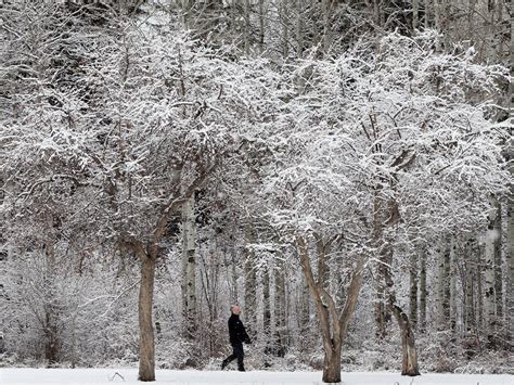 Surviving an Edmonton winter | Edmonton Journal