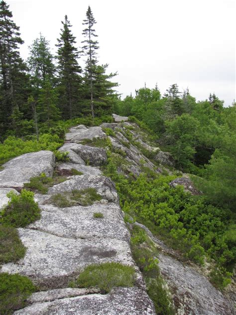 Trails of Halifax Regional Municipality: The Bluff Trail: Superb ...