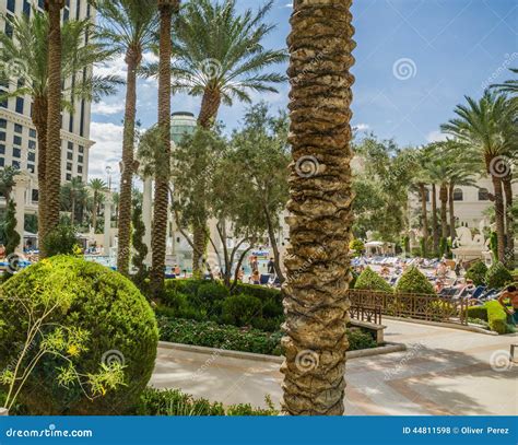 Caesars Palace Swimming Pool Area Editorial Stock Photo - Image of ...