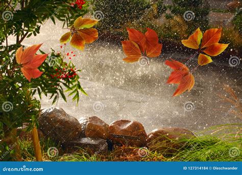 Autumn Leaves Blowing Around in the Wind I Rain Weather Stock Photo - Image of green, fall ...