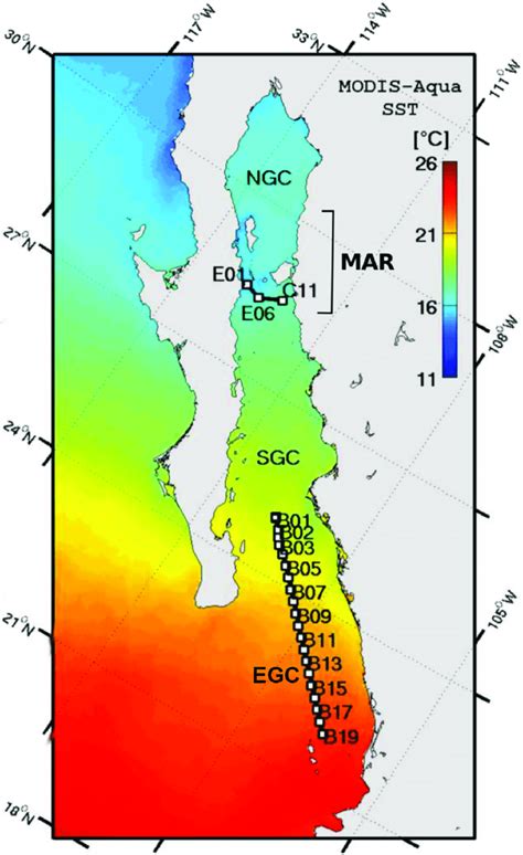 Satellite and hydrographic data. Climatology of February of the Gulf of... | Download Scientific ...