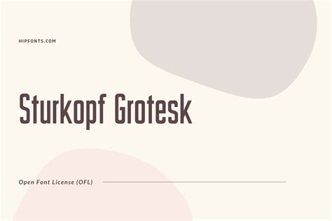 aktiv grotesk font | HipFonts