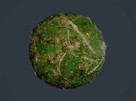 3D model Forest Ground Seamless PBR Texture 14 | CGTrader