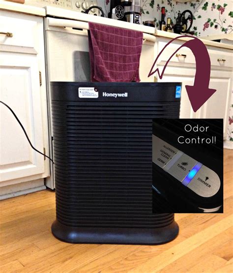 Indoor Air Pollution Solutions - Turning the Clock Back