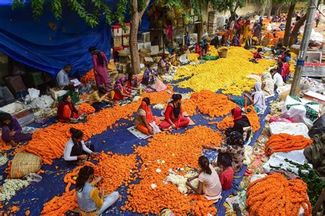 In Pics: Ghazipur flower market during Diwali festival