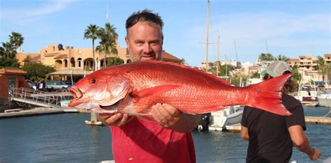 San Carlos Sport Fishing & Cruise Tours | Come Explore The Sea Of Cortez | San Carlos Fishing ...