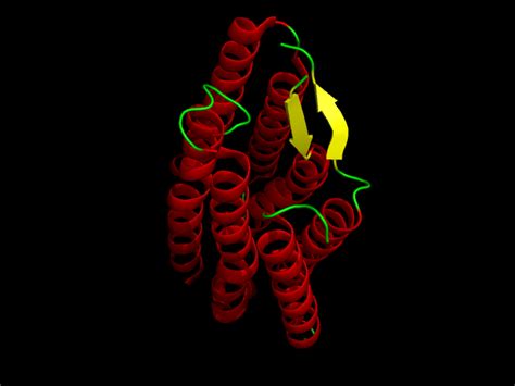 Bacteriorhodopsin