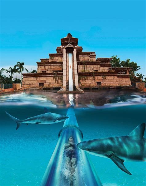 Aquaventure - Dubai | Tourist places, Atlantis bahamas, Places to travel