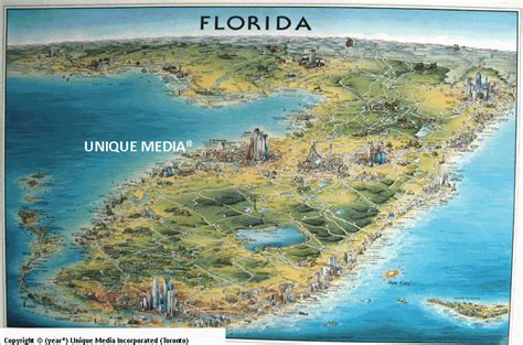 florida-by-unique-media-0770687659029.gif (800×529) | Map of florida, Florida, California map