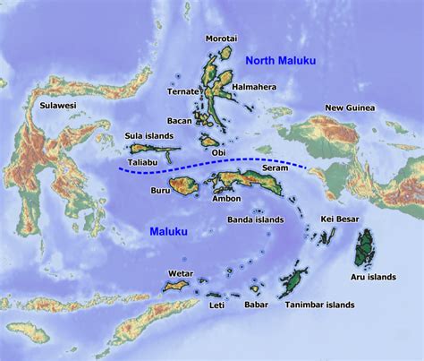 Moluccas - BirdForum Opus | BirdForum