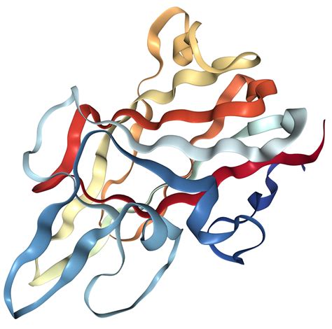 Factor VIII Protein Overview | Sino Biological