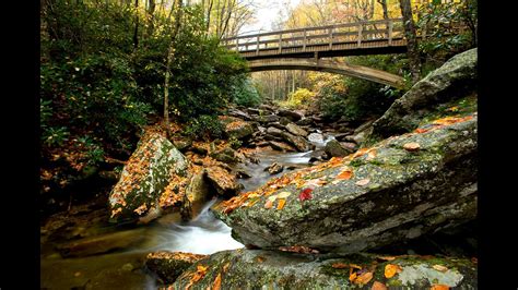 Here's when North Carolina's fall colors are expected to peak | wcnc.com