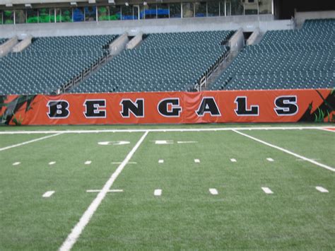 iaTURF: CINCINNATI BENGALS STADIUM