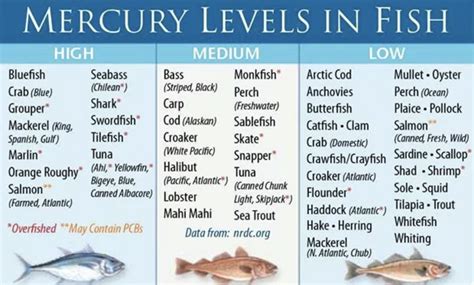 Mercury Levels In Fish Chart Australia