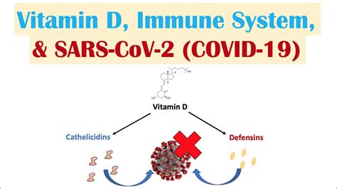 Vitamin D, Immune System & SARS-CoV-2 (COVID-19) | Mechanism of Vit D Immune Regulation ...