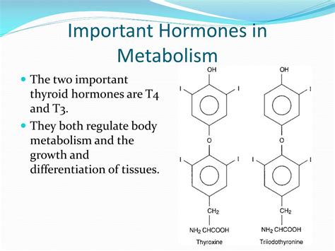 PPT - Metabolism Regulation PowerPoint Presentation, free download - ID ...