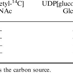 In vitro synthesis of chitosan-like polymer. | Download Table