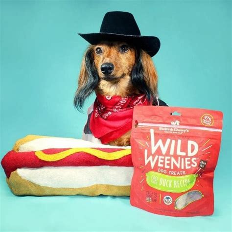 Stella & Chewy's Wild Weenies Dog Treats; Duck Recipe – Petland Canada