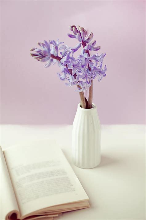 Purple Flower Vase Photograph by Uccia photography - Fine Art America