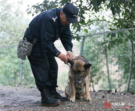 Chinese Cop Sets Up Retirement Home for His Old Police Dogs