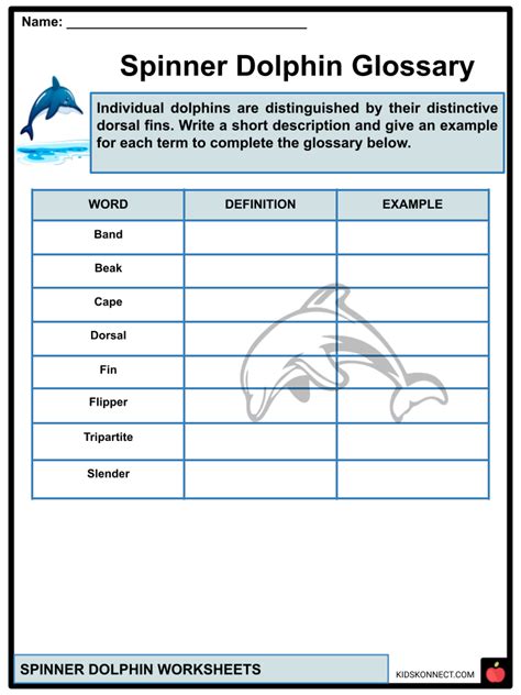 Spinner Dolphin Worksheets & Facts | Features, Habitat, Status