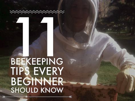 11 Beekeeping Tips Every Beginner Should Know - BeecentricHive.com